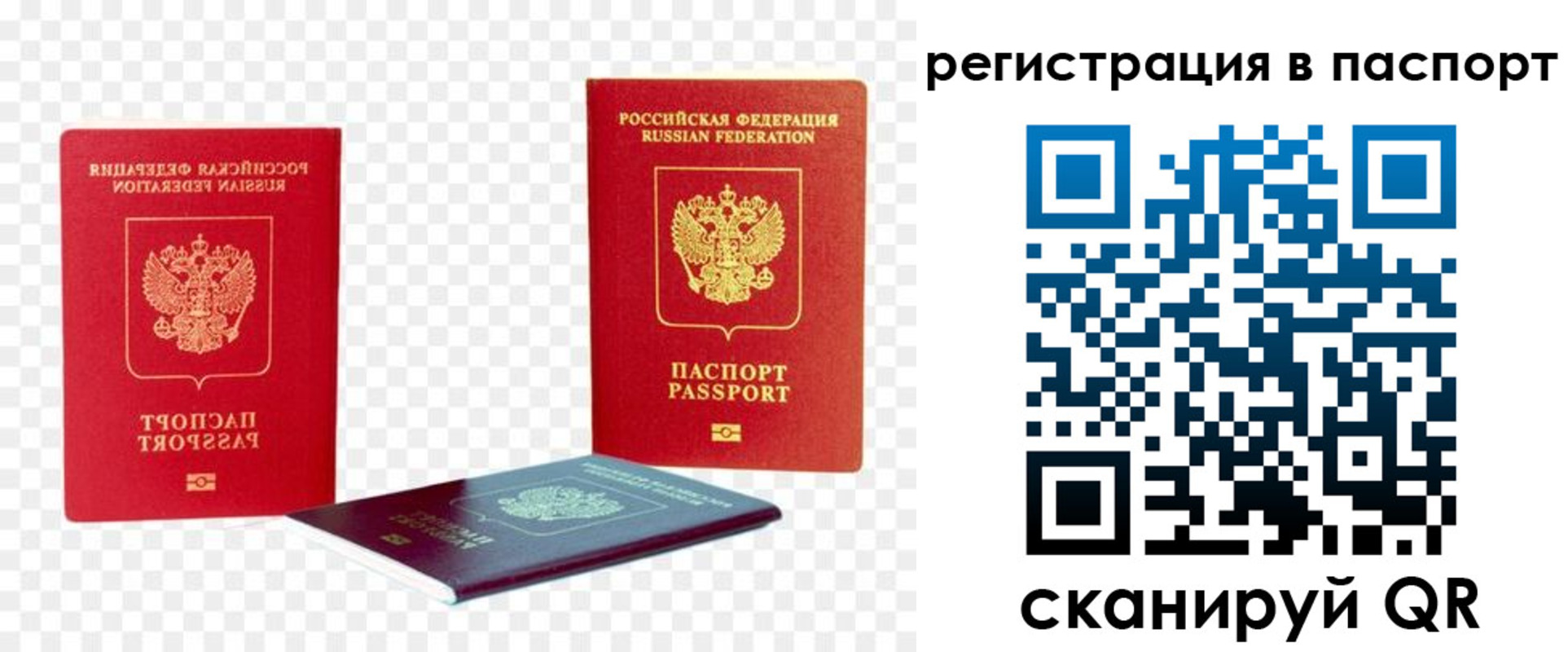 временная регистрация поиск в Петропавловске-Камчатском